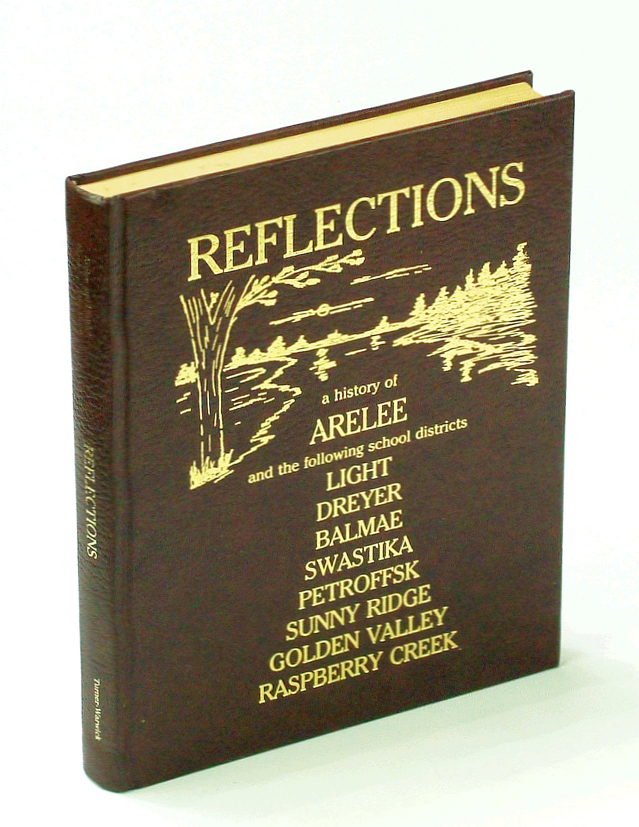 Image for Reflections: A History of Arelee and the [School] Districts of Balmae, Dreyer, Golden Valley, Light, Petroffsk, Raspberry Creek, Sunnyridge and Swastika [Saskatchewan Local History]