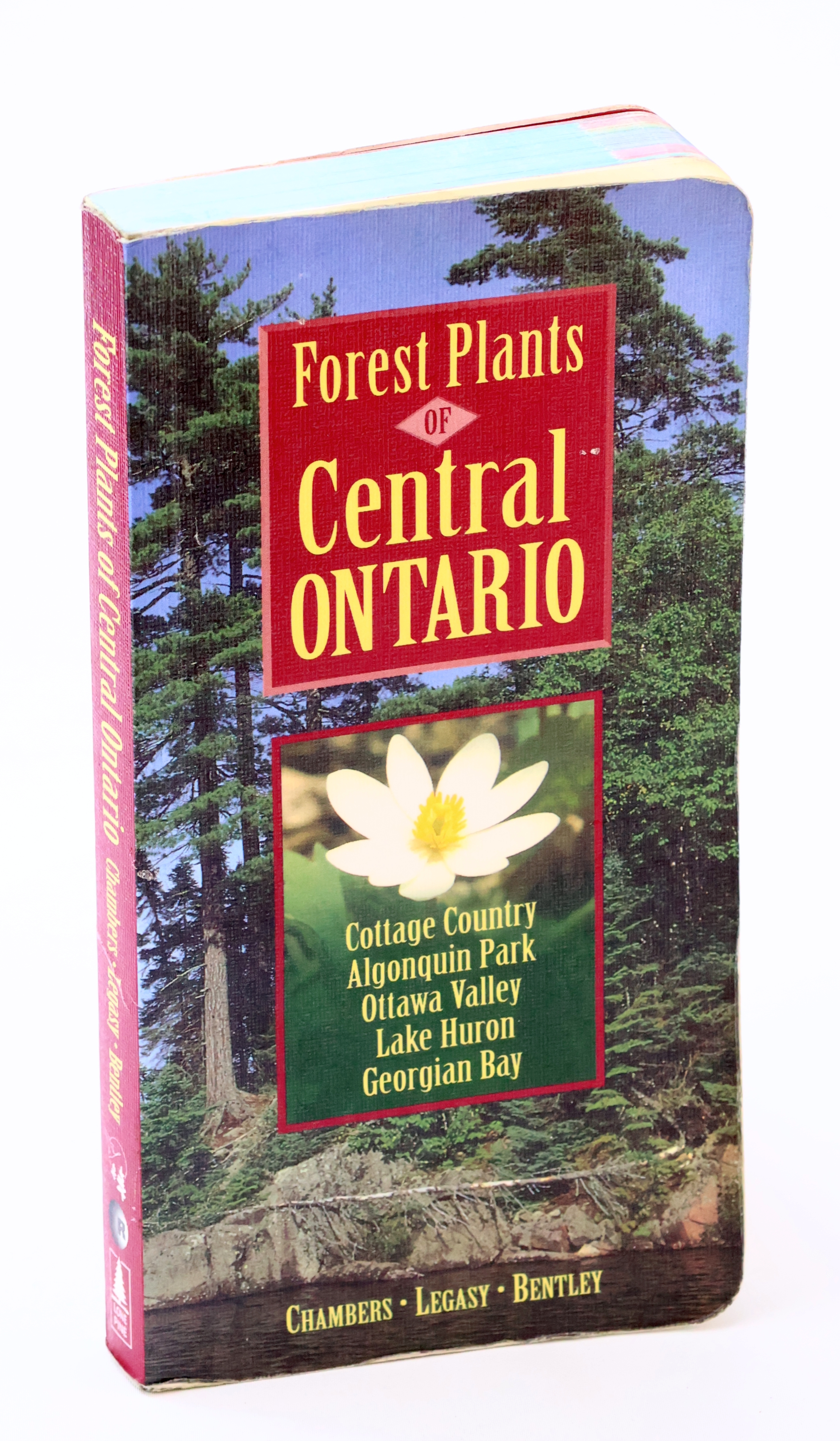 Forest Plants of Central Ontario - Cottage Country, Algonquin Park, Ottawa Valley, Lake Huron, Georgian Bay
